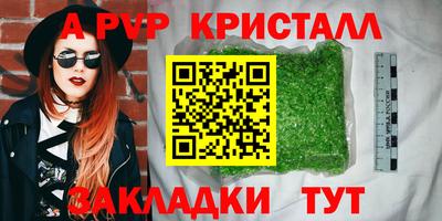стаф Нальчик