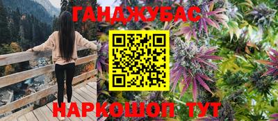 стаф Нальчик