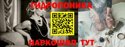 стаф Нальчик